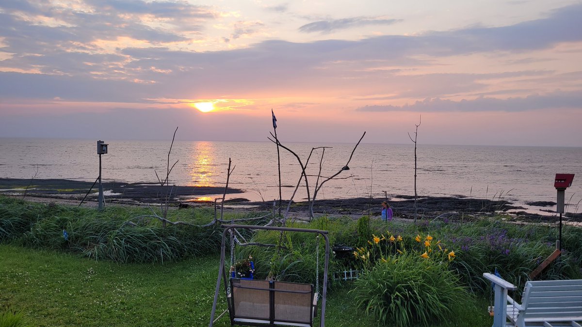 LaMerVeille56's tweet image. 20h15, 18°. C'est t'humide en titi. Mer Veilleuse soirée à tous.
No d'ETBL 208773
Motellamerveille.net