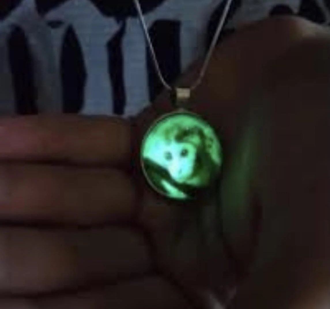 eat5G's tweet image. I Went To The 2025 Fofonian Music Festival and all i got was the glowing Monke