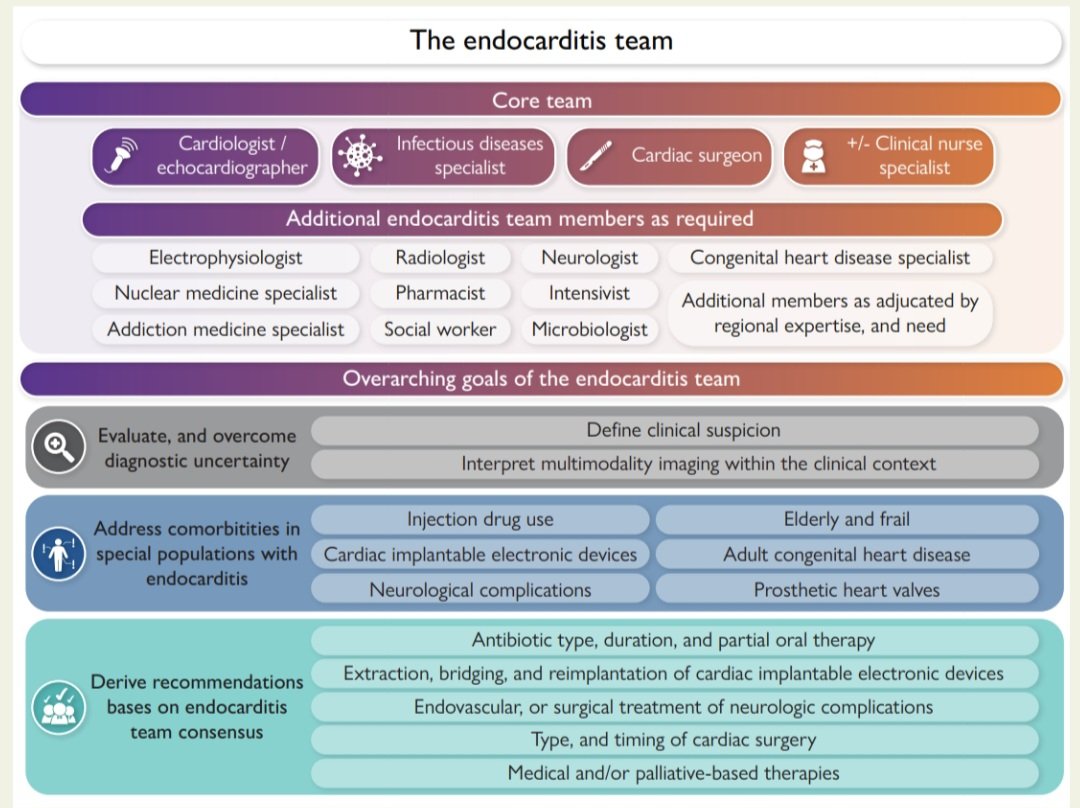 javier20ch's tweet image. Endocarditis infecciosa: se necesita un equipo. 🦠🫀☢️
🔺️La EI es una infección sistémica relativamente rara pero potencialmente mortal, que sigue asociada a una alta morbilidad y mortalidad.📈☠️
🔺️La epidemiología actual de la EI ha cambiado y afecta a pacientes con…