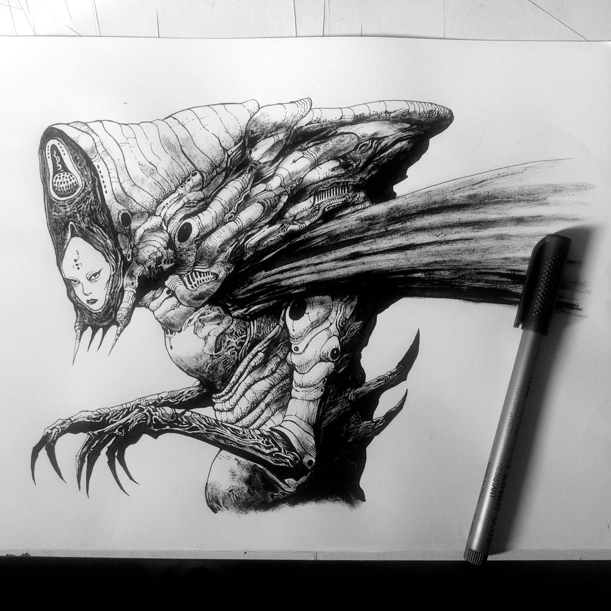 codexnoirmatic's tweet image. 
