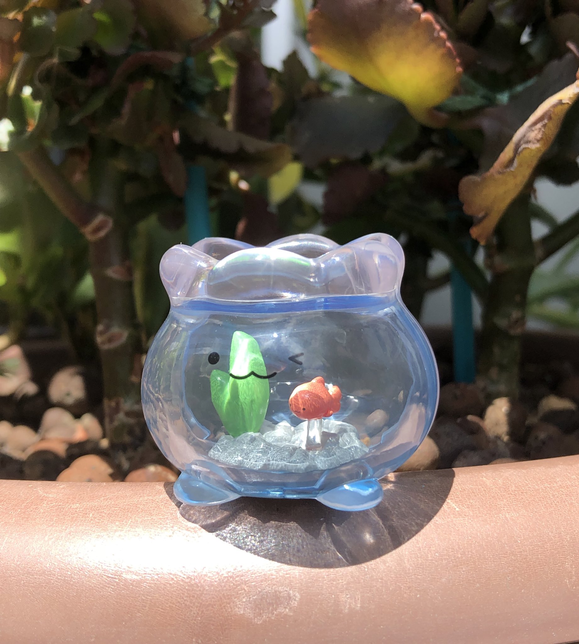 ♡シーグラスアート 金魚さんに会いにいっちゃった♪ 金魚鉢とうさぎさん達♡ GpD1I_FbwAANmkB.jpg