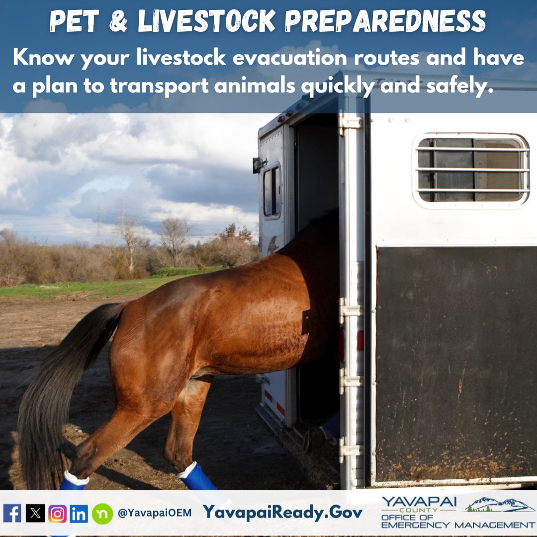 YavapaiOEM's tweet image. When every minute counts, know your evacuation routes and practice loading your livestock for quick transport in an emergency. #LivestockPreparedness #YavapaiReady #EvacuationPlanning #AnimalSafety #YavapaiCounty