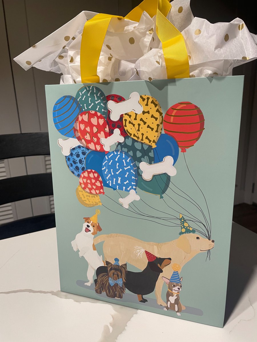 Found the most perfect bag for our dog walker’s last day present