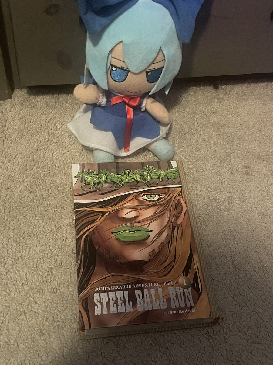 Pug0fEarth's tweet image. Cirno is about to read peak