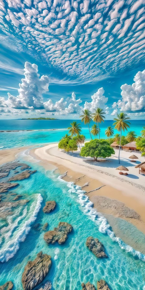 FLORA (@floraaaa_11) on Twitter photo 