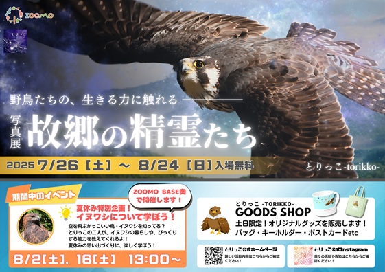 moriokazoo's tweet image. 夏休み期間に合わせ7月26日(土)から8月24日(日)まで、岩手県とそこに住む鳥の魅力発信する2人組「とりっこ-torikko-」がZOOMOBASE奥レクチャースペース(無料エリア内)にて猛禽類写真展を行います。 また期間中の8月2日(土)と16日(土)に夏休み特別企画「イヌワシについて学ぼう」を開催します