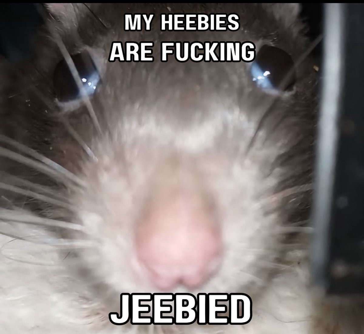 I just exploded #TNASlammiversary