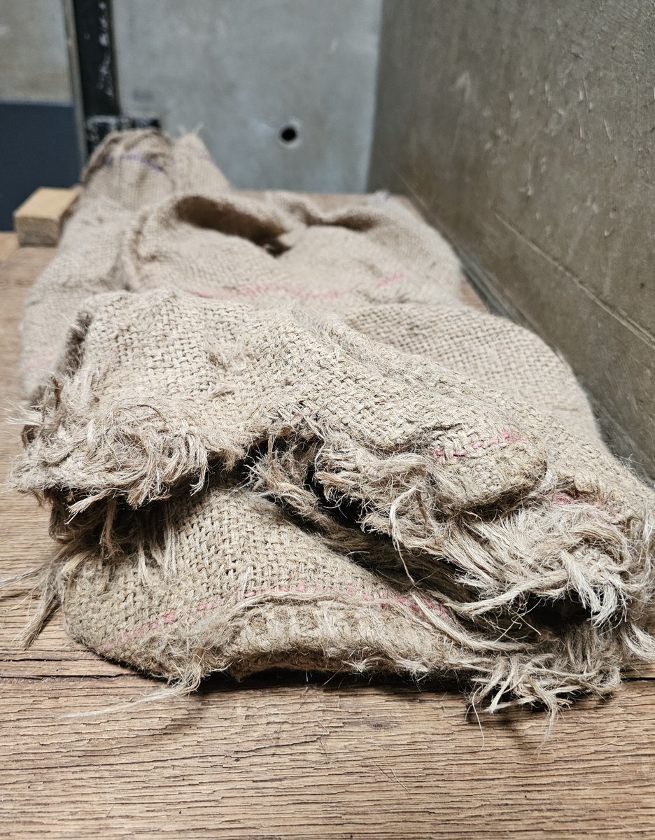 moriokazoo's tweet image. 朝の作業の時に見た、麻袋を枕代わりにして寝ているカナダカワウソのメス“カエデ”です。“カエデ”が放飼場に出た後、掃除のため巣箱を開けました。そこには派手に破られた麻袋がありました。どんな行動をしたら麻袋の底がこんなにキレイに破れるのでしょうか。#ZOOMO #つながるいのち #行こうぜZOOMO