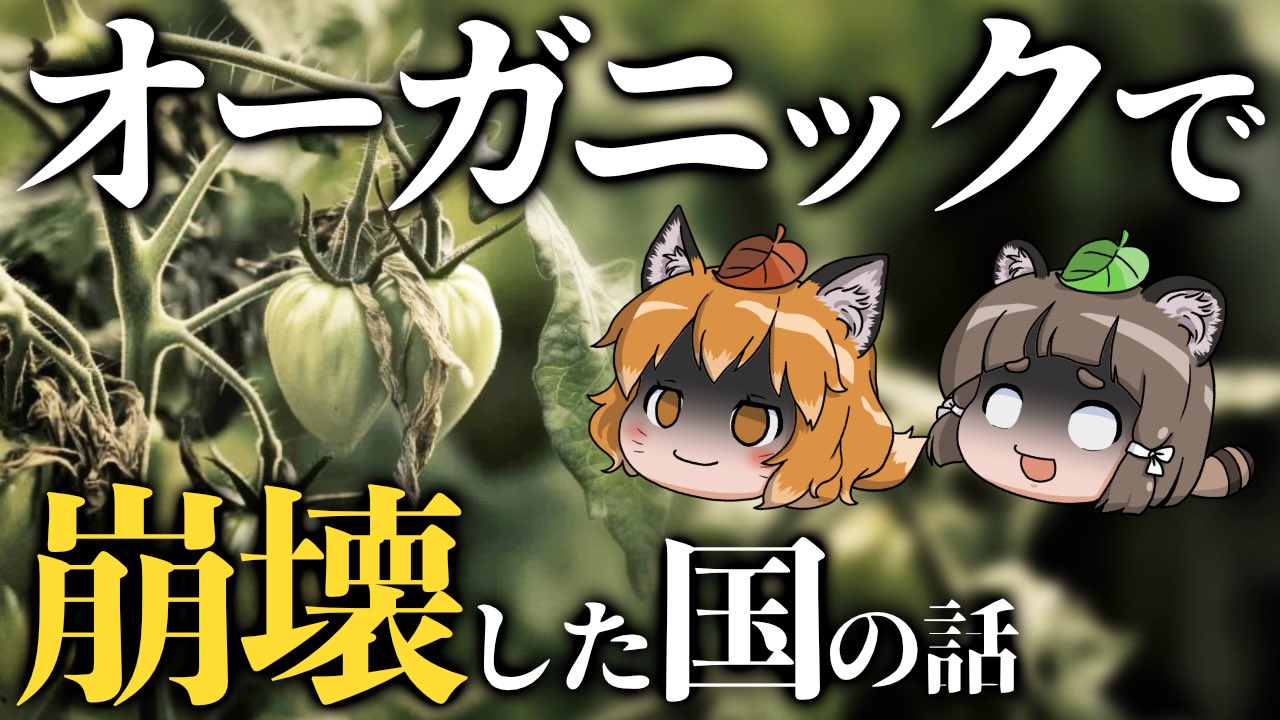 きつね(プロフィール読んで下さい)❁ ▽きつね (@MM_fox) / X
