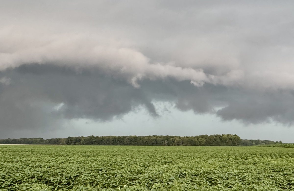KevinLighty's tweet image. Quite the storm chase today as we were on multiple tornado warned storms. These were down in parts of Shelby and Effingham counties.