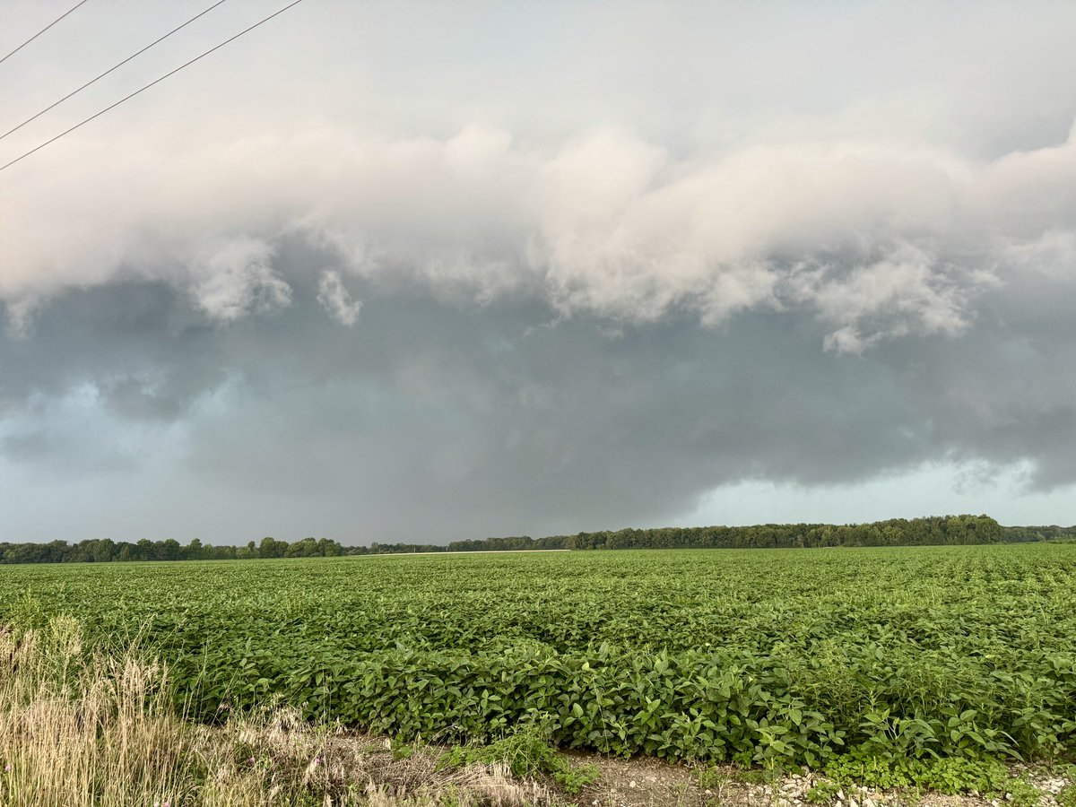 KevinLighty's tweet image. Quite the storm chase today as we were on multiple tornado warned storms. These were down in parts of Shelby and Effingham counties.