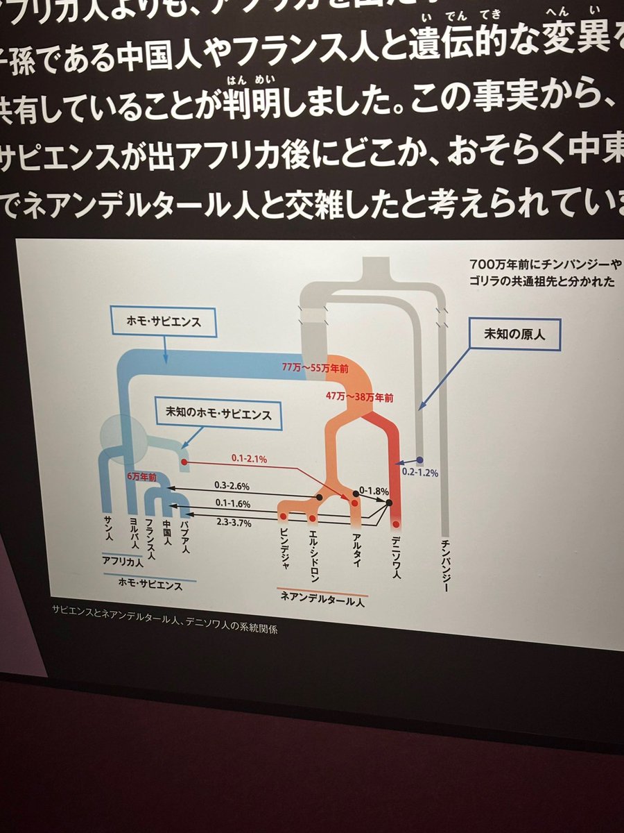 funakinging's tweet photo. ホモサピエンスとネアンデルタール人の違いは考え深い。環境にしなやかに対応出来て複雑で芸術的な方が生き残った。
#氷河期展 https://t.co/arv0UiLtDc