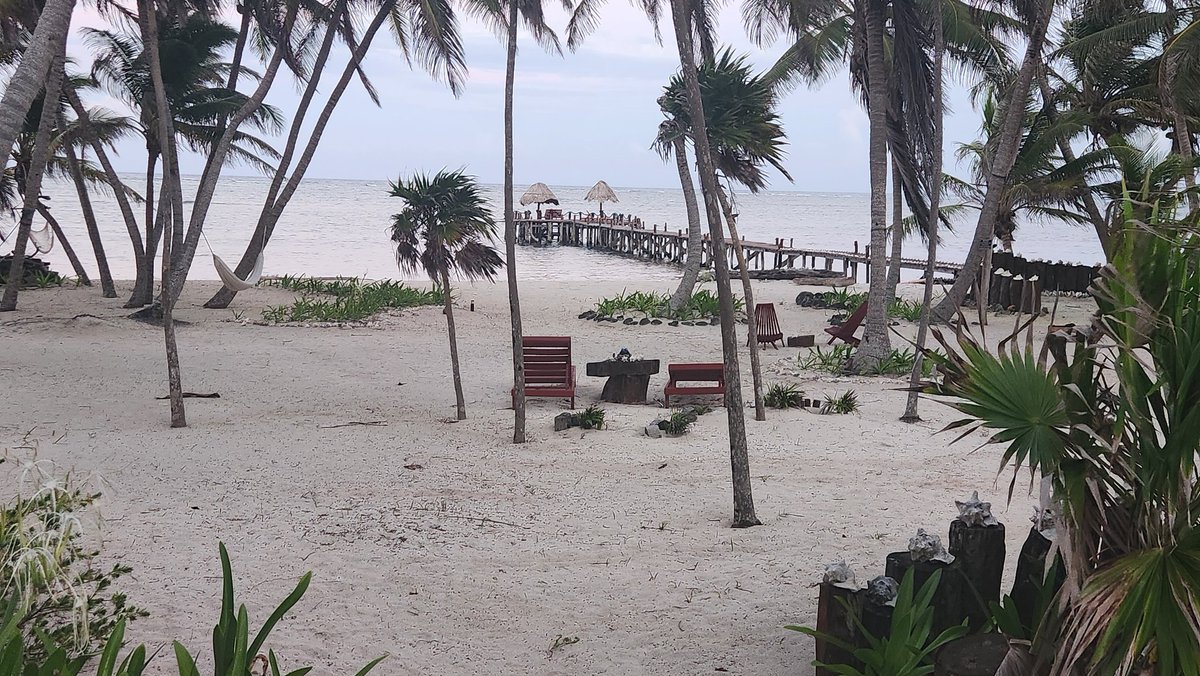 BackEight88's tweet photo. Our view for the next week. 🏝️⛵🍑🍻
#PlayaSonrisaMexico https://t.co/iOn1Der1fr