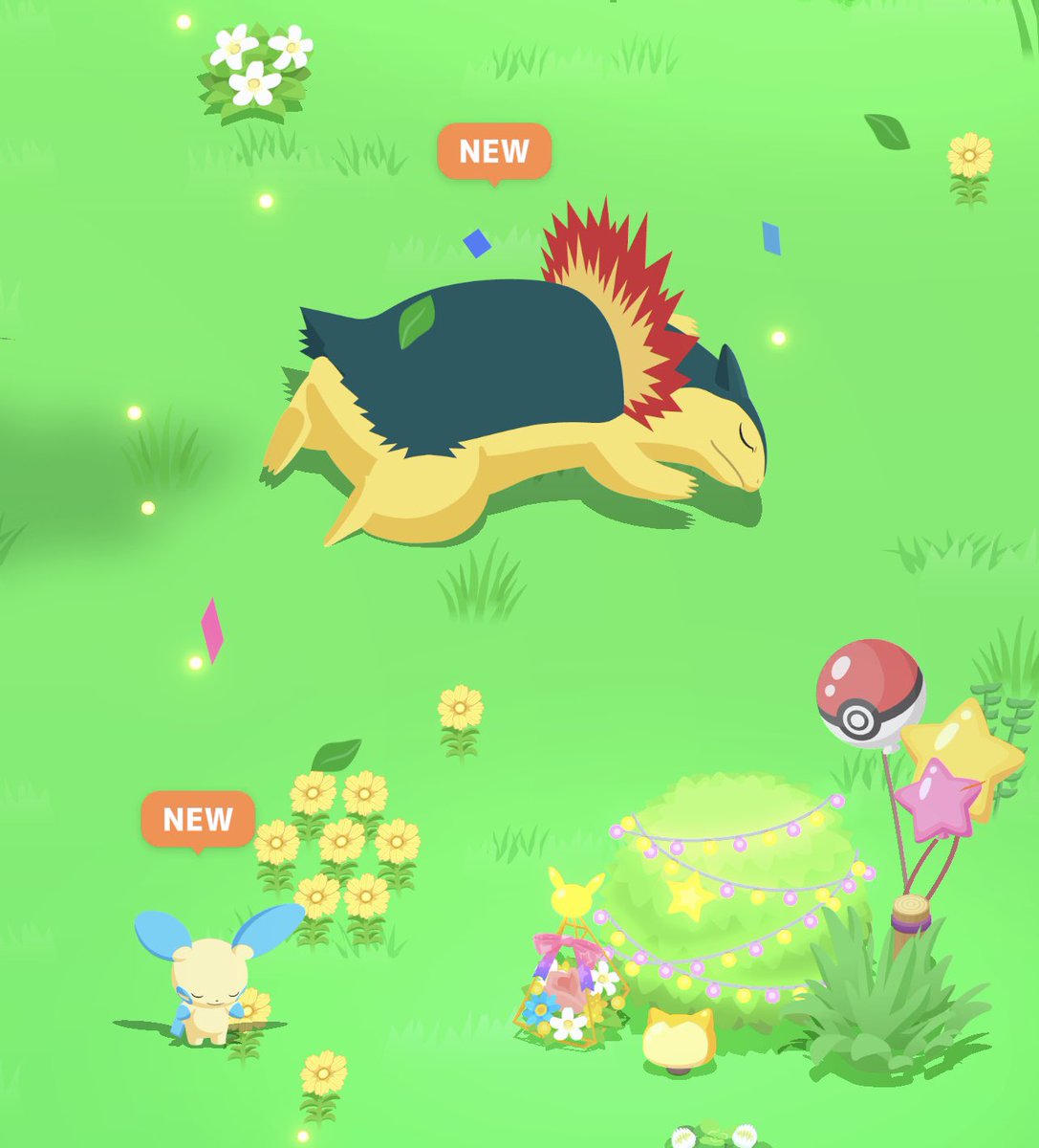 ch61248's tweet image. #ポケスリ2周年をいっしょに

New２つ

アチャモとマイナン欲しいので
また今週もワカクサにしました٭¨̮♫
