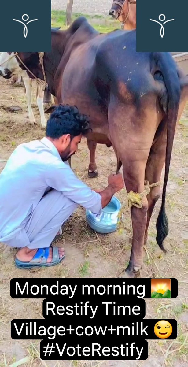jackson_vechain's tweet photo. Monday morning 🌅 village cow milk Restify Time 😁 Thanks Restify vebatter Action 💋📵
@Restify_App #Restify #RestifyApp
#Vechain #vet #bitcoin #B3TR @vechainofficial https://t.co/HEohOtmrdR