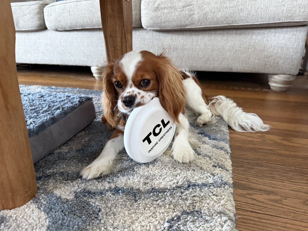 LegendaryScoop's tweet image. I have your next brand ambassador, @TCL_USA.