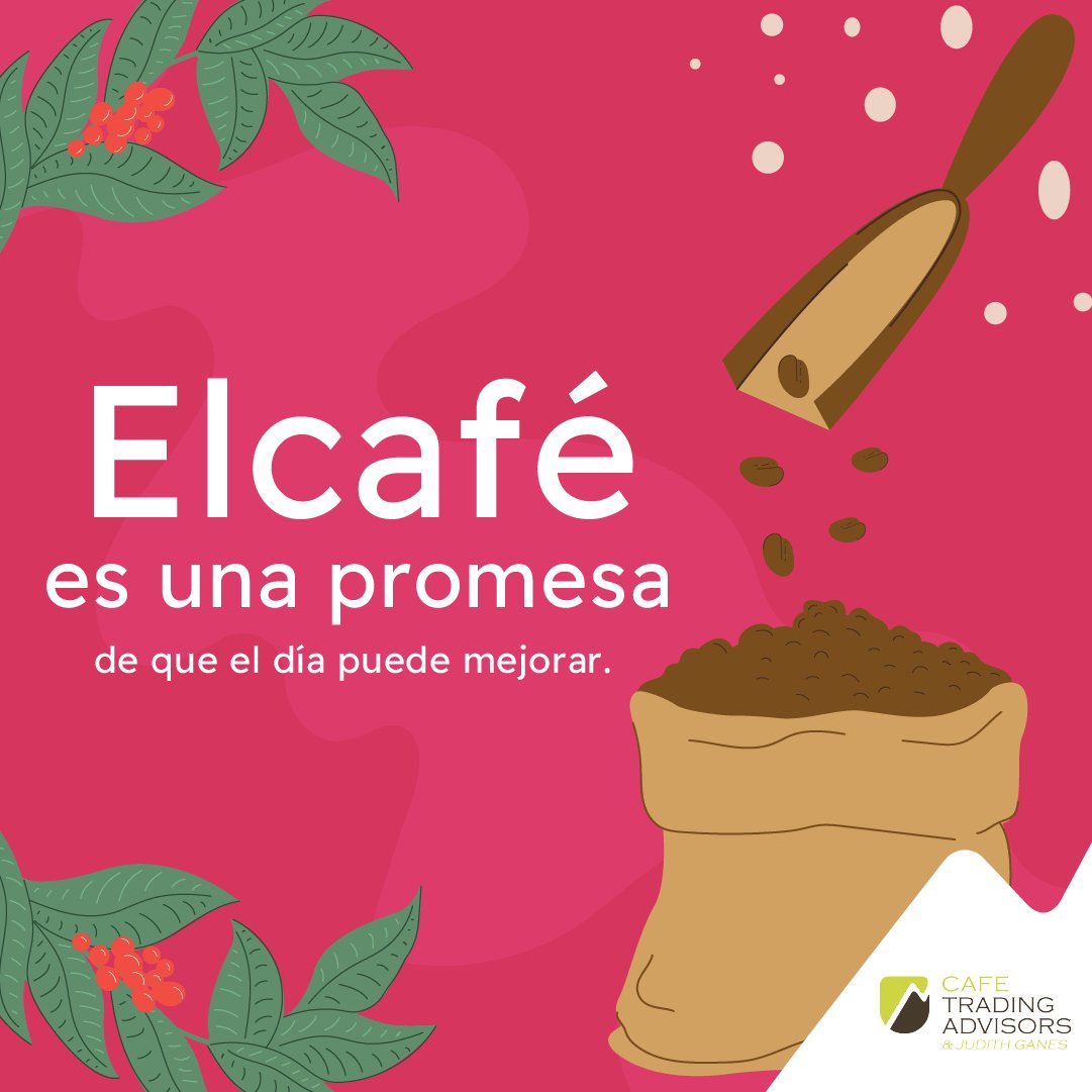 Café Trading Advisors & Judith Ganes (@invertirencafe) on Twitter photo 