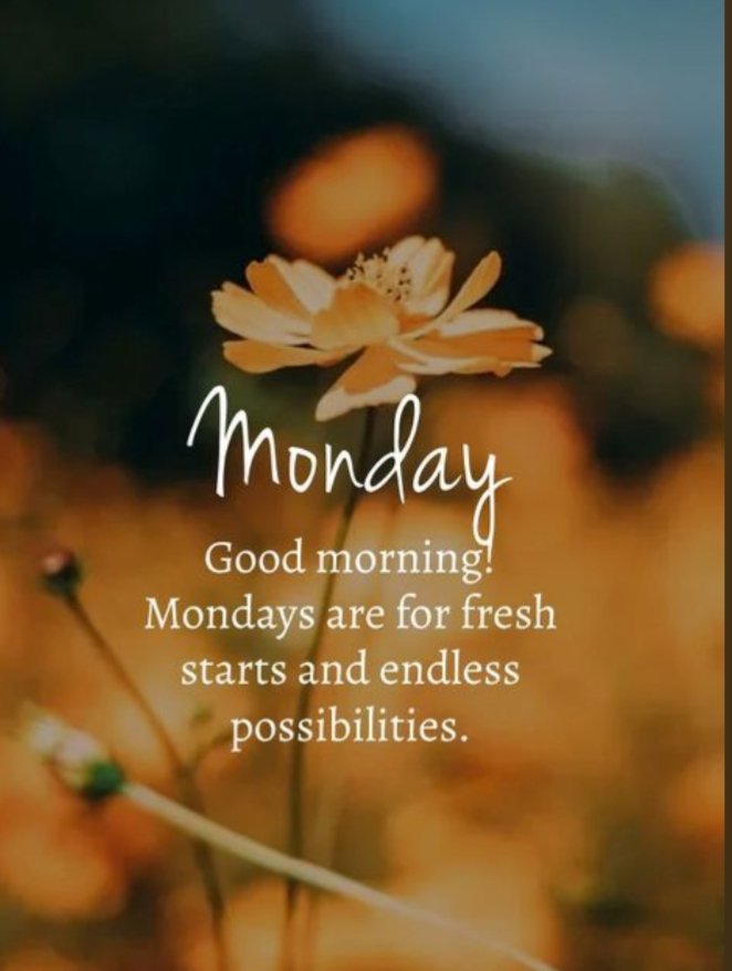 Adele3klopper3's tweet image. 🙋🏻🌅☕... Good morning
Happy Monday...😃
Enjoy your day...🎶☀️
💪🏻... Ok Monday let's do this!!!