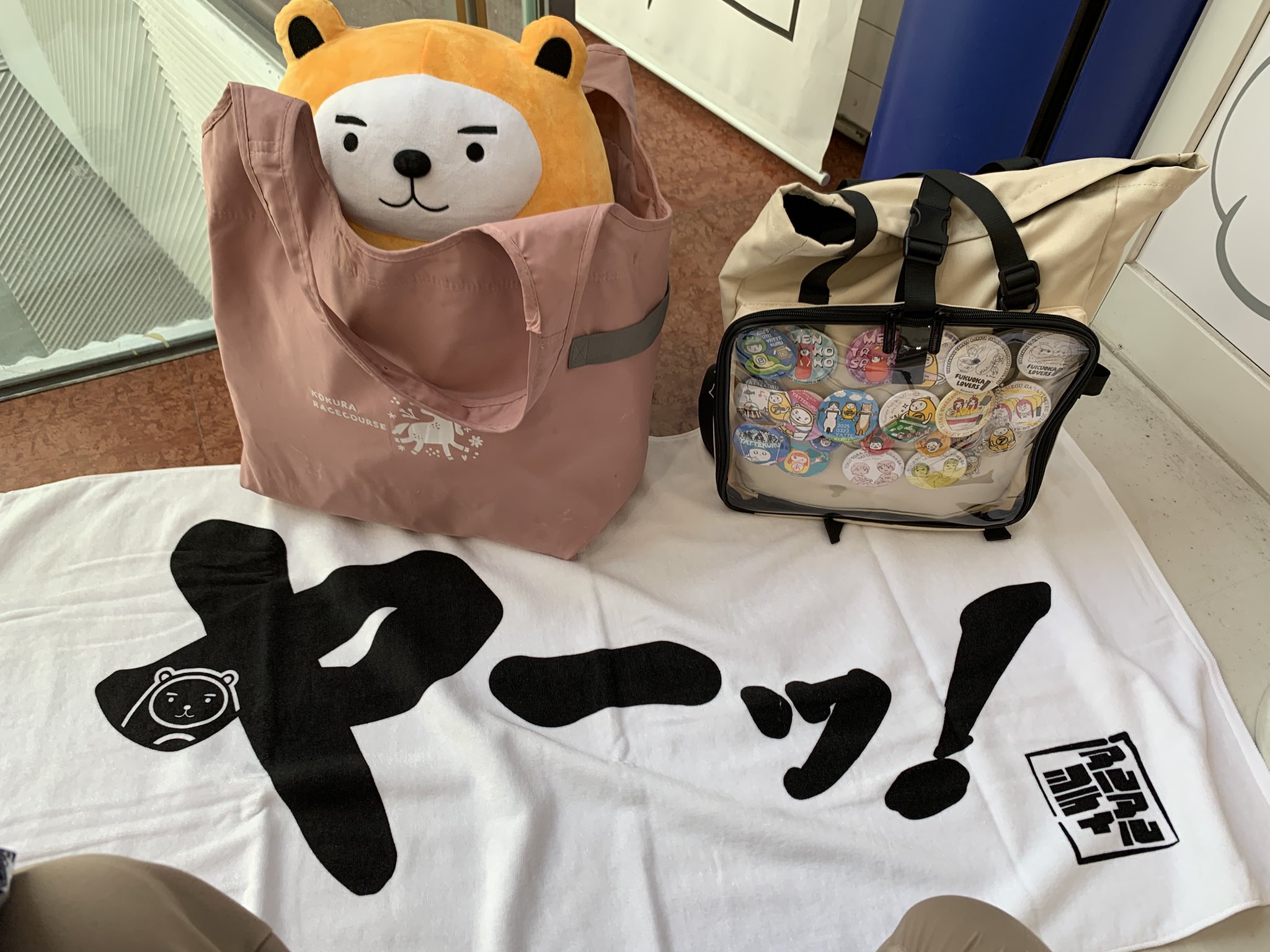 Eve グッズ　まとめ売り　ぬいぐるみ バスタオル ポーチ imgrc0086301737.jpg