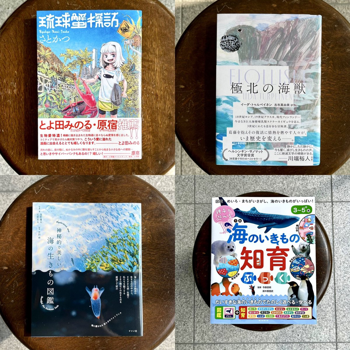 SAKANABOOKS_'s tweet image. ご紹介しきれていませんが気になる新刊続々入ってます🐟
今日もご来店お待ちしています🐟
🐟営業時間🐟
12:00-17:30