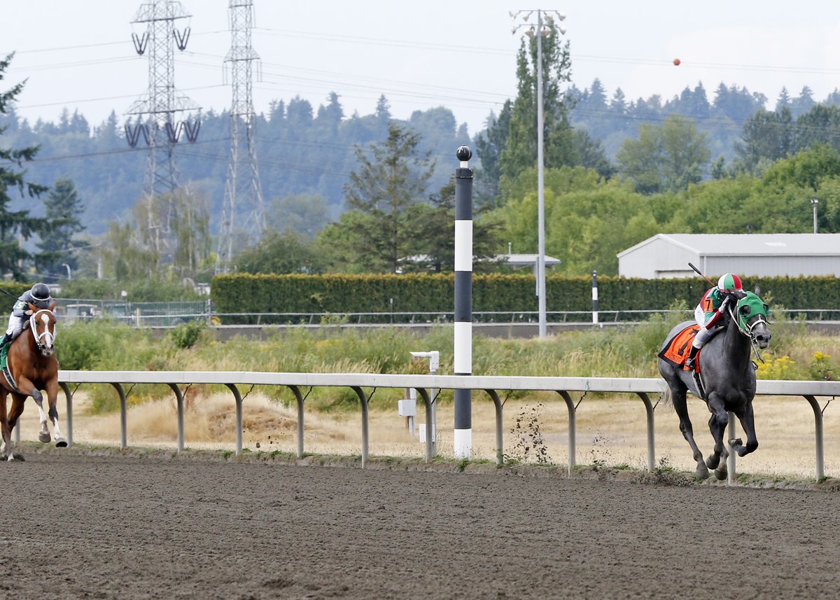 EmeraldDowns's tweet image. Sunday Wrap - 2yr-old Stakes races
emeralddowns.com/angie-c-stakes…