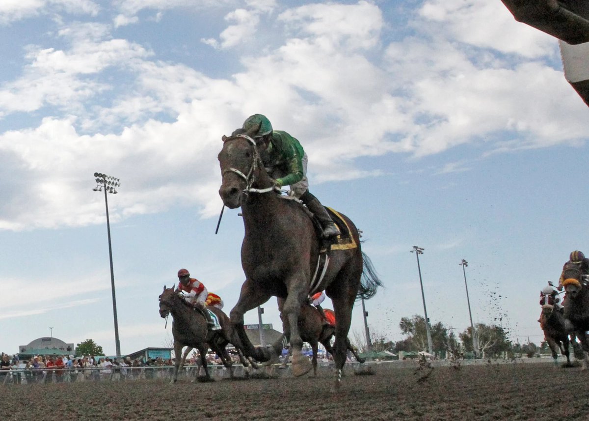 EmeraldDowns's tweet image. Sunday Wrap - Three Stakes (older races and 3-yr-old fillies)
emeralddowns.com/slews-tiz-whiz…