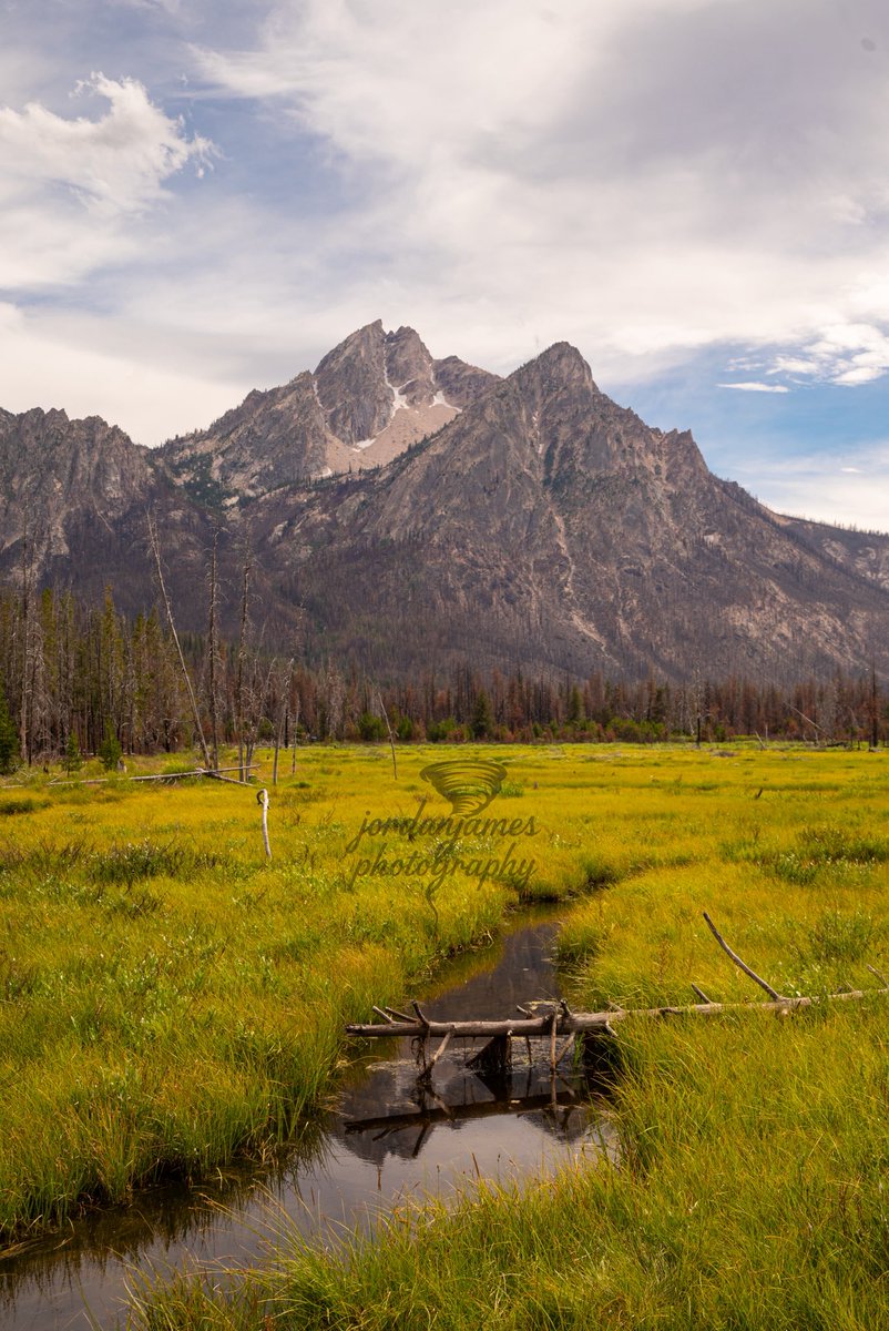 Jordan McClellan💯 tweet media