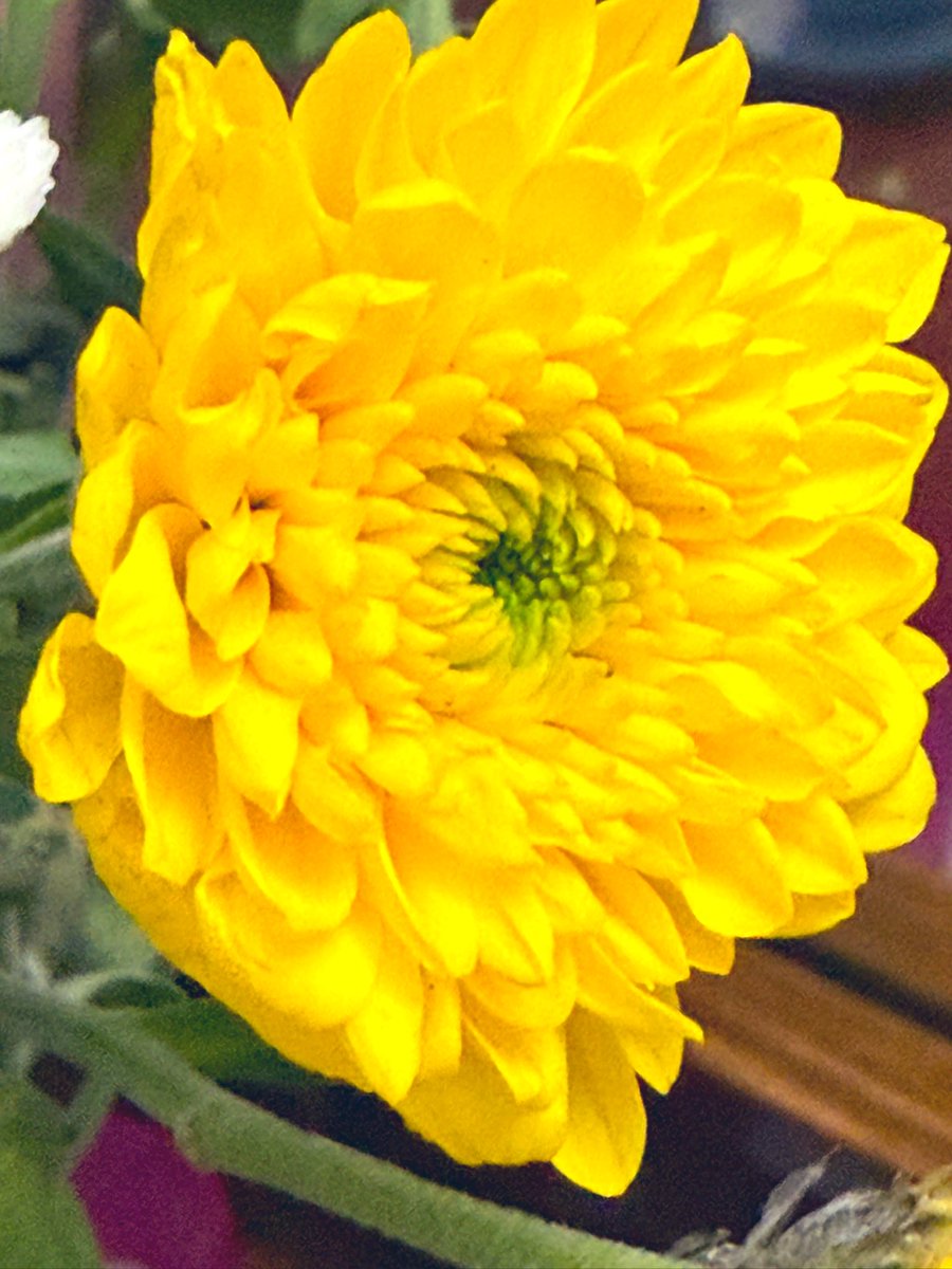 Sometimes I need
only to stand
wherever I am 
to be blessed.

Mary Oliver

#MondayMornings
