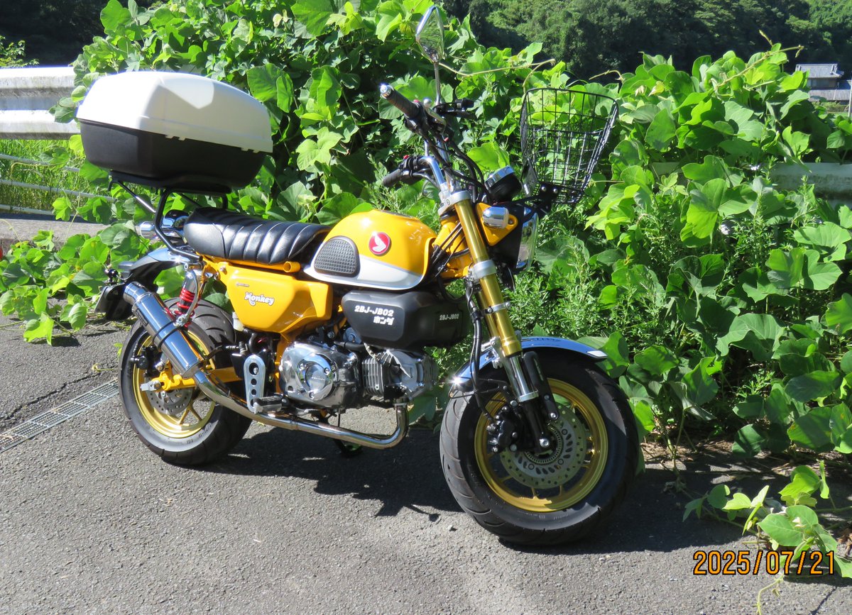 山の日と間違えて写してみました😅　昨日電圧計を取付けました！アイドリング中あまり電圧があがりませんが走行し始めると14.1Vキープです。＃モンキー125