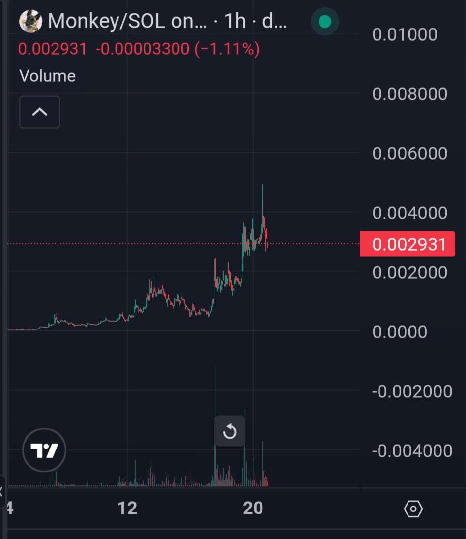Been afk for a lot of today and just came back to the charts.  

$MONKEY has a new floor forming. Next leg should send us higher.

Stronger holders who believe in the value of Monkey's talent and what he brings onchain. Not just a cute dog, but he creates an actual product.