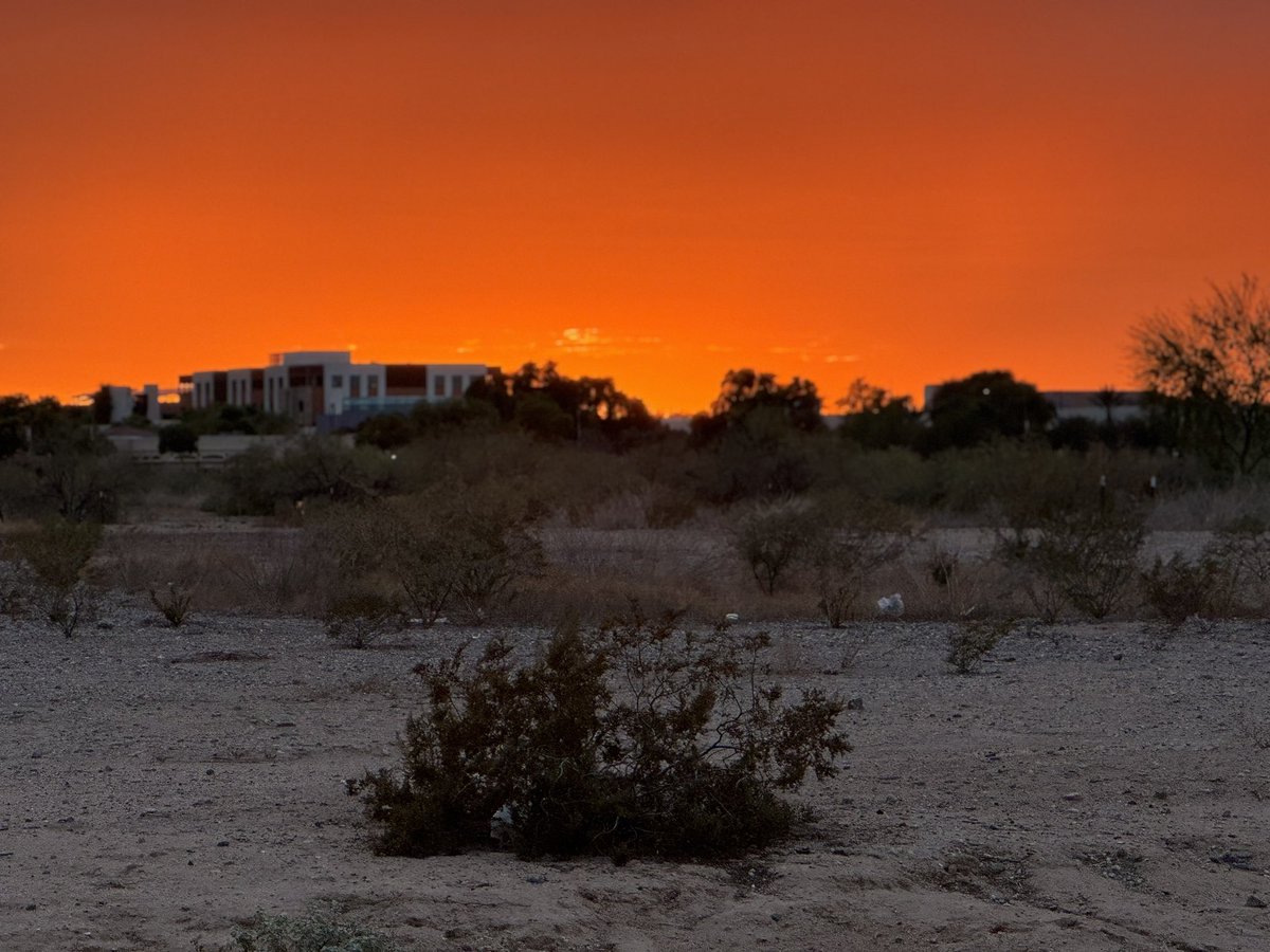 DHoltzy's tweet image. Summer in Surprise, AZ. 

#NoFilter