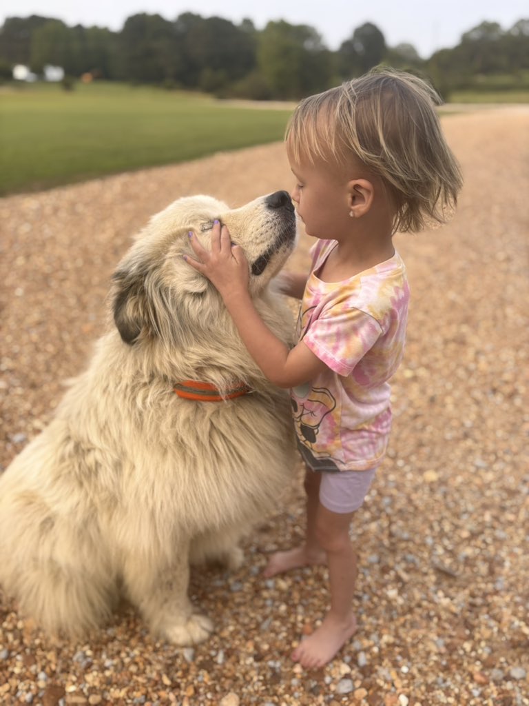 CountryReese's tweet photo. And I thought to myself
As we buried her on the hill
I never knew me a better dog
And I guess I never will

#pyranees https://t.co/yeanJH8x6b