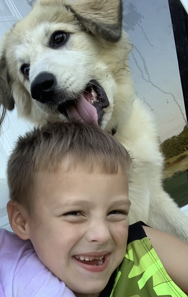 CountryReese's tweet photo. And I thought to myself
As we buried her on the hill
I never knew me a better dog
And I guess I never will

#pyranees https://t.co/yeanJH8x6b
