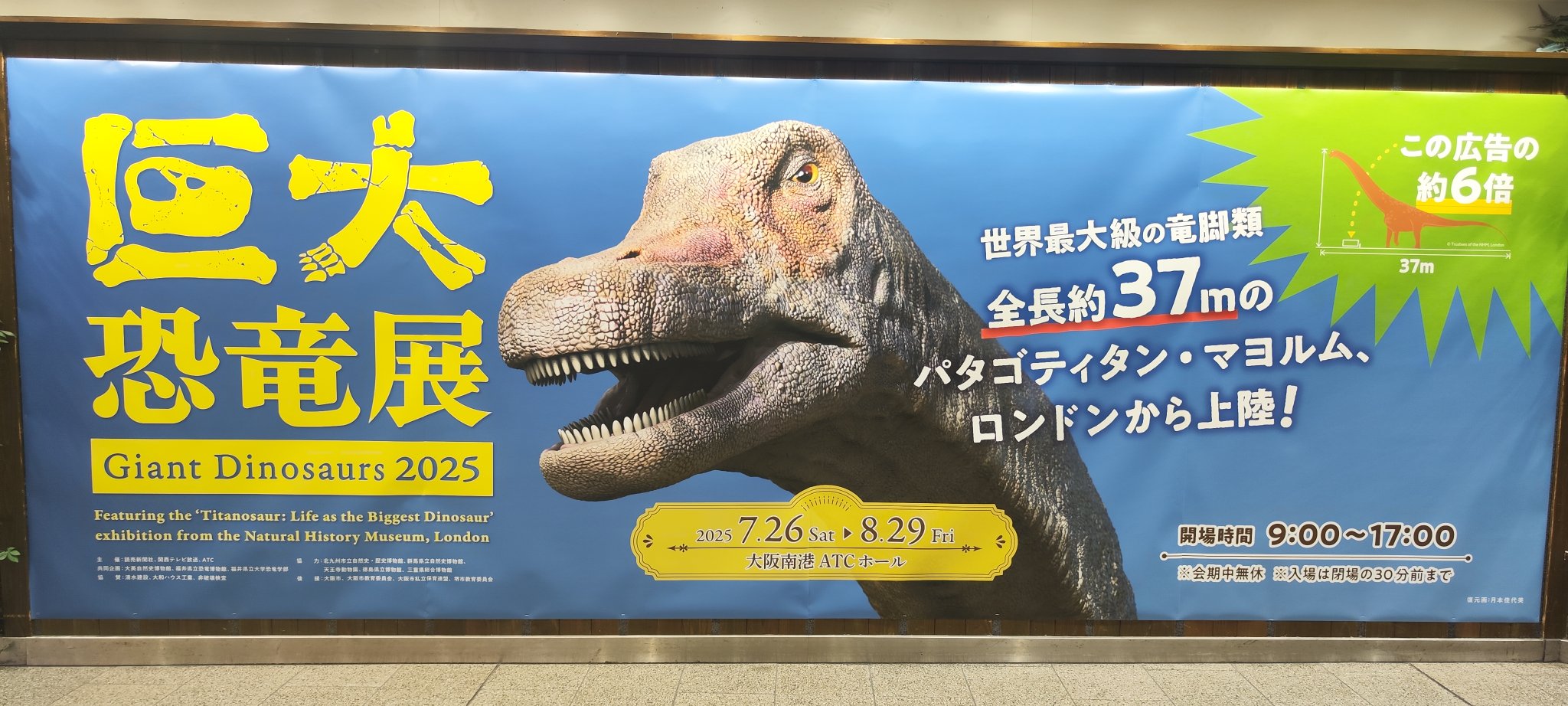 ♡巨大恐竜展 familiarコラボ♡ 巨大恐竜展2025 on X:
