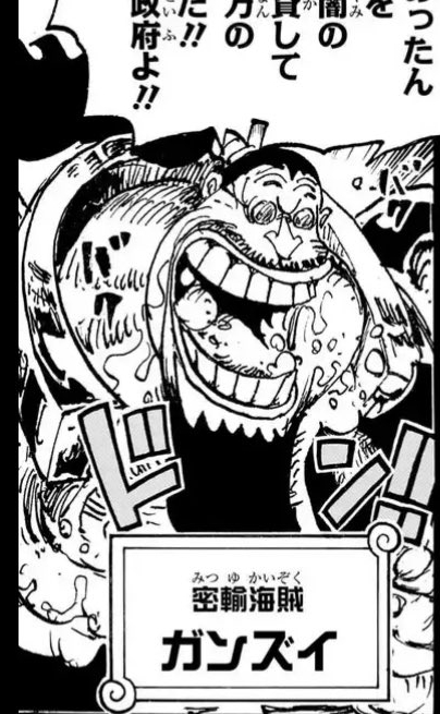 お前が王直じゃなかったのかい・・・ 