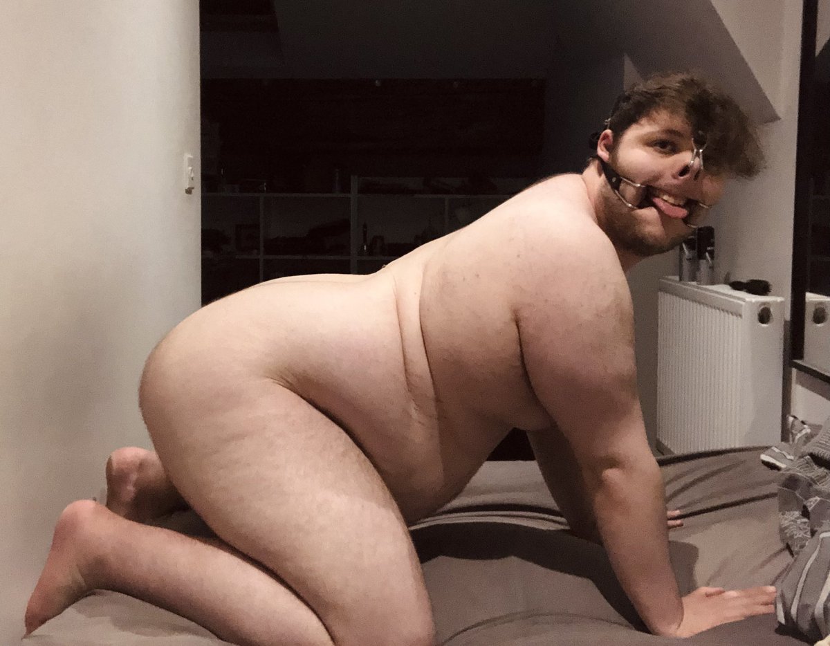 LiesSoSweet's tweet photo. Pig on display! Message me with any kinky thoughts, dominant commands or other perverted things! Oink! 🐷 https://t.co/VzQ5otwCTp