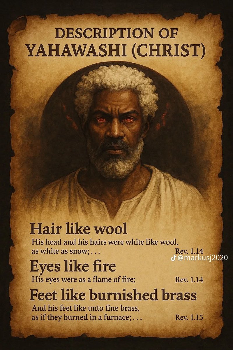 andrewdonals's tweet image. 