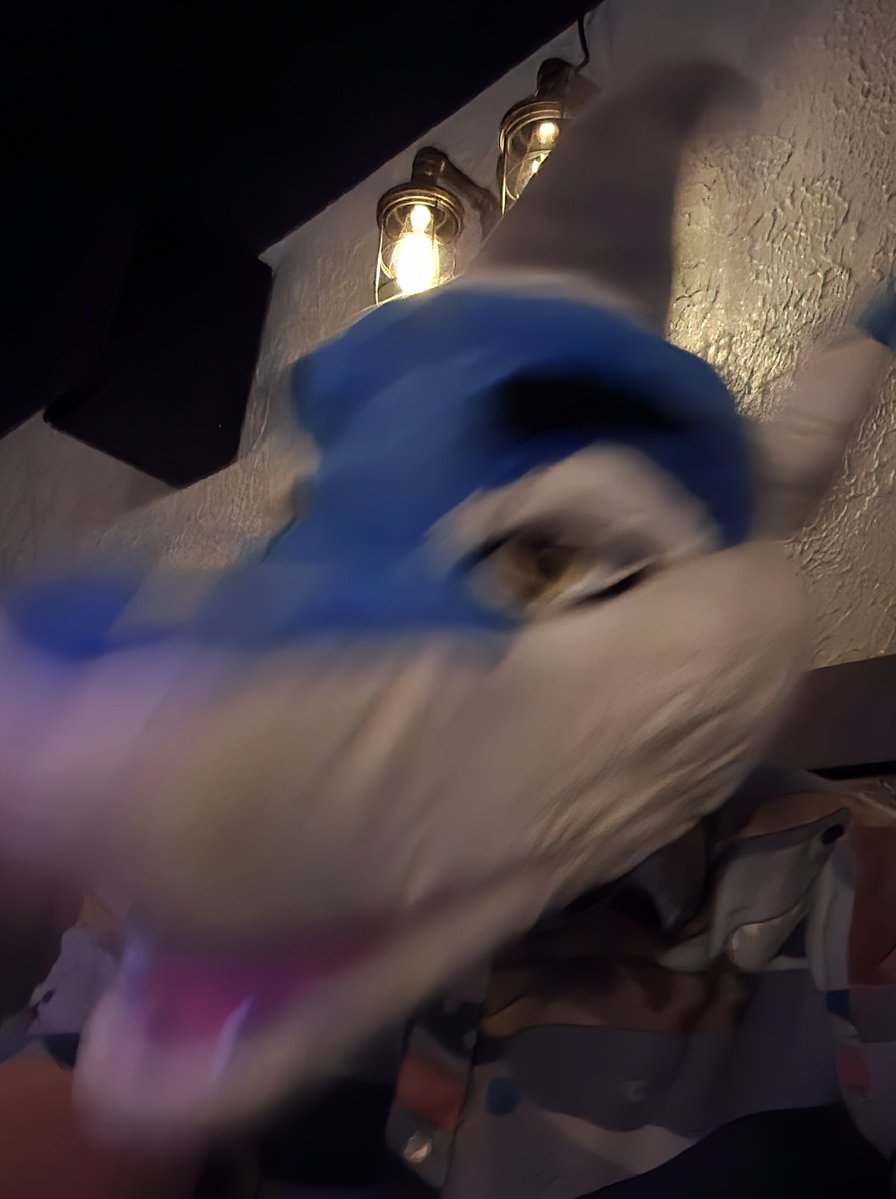 IFinesku's tweet image. Shark week starts now! Yes yes yes yes