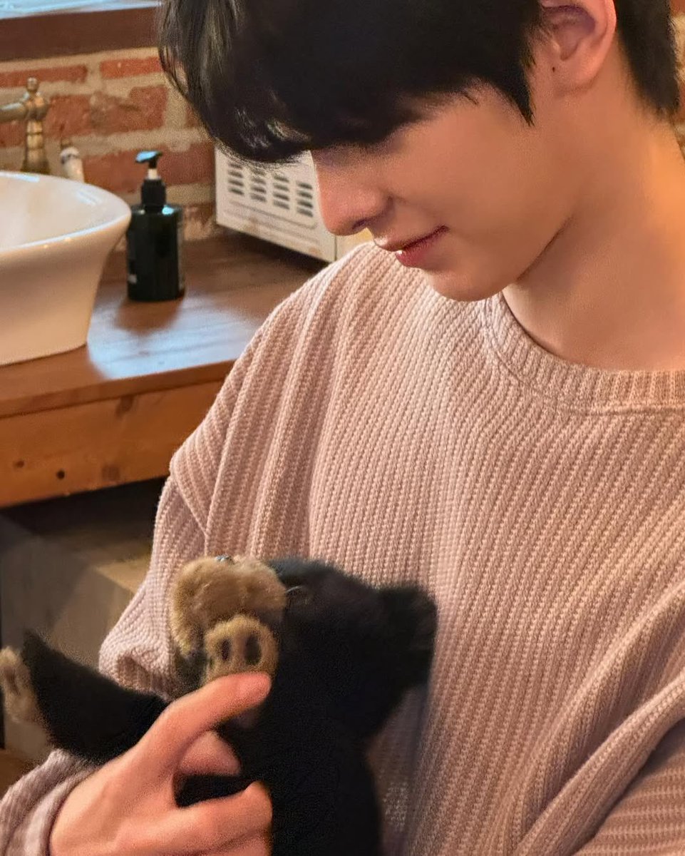 wonaxin tweet picture