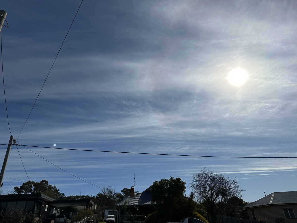 schitzoziris's tweet image. Doesn’t look like Water Vapour Health Minister #MarkButler 🖕