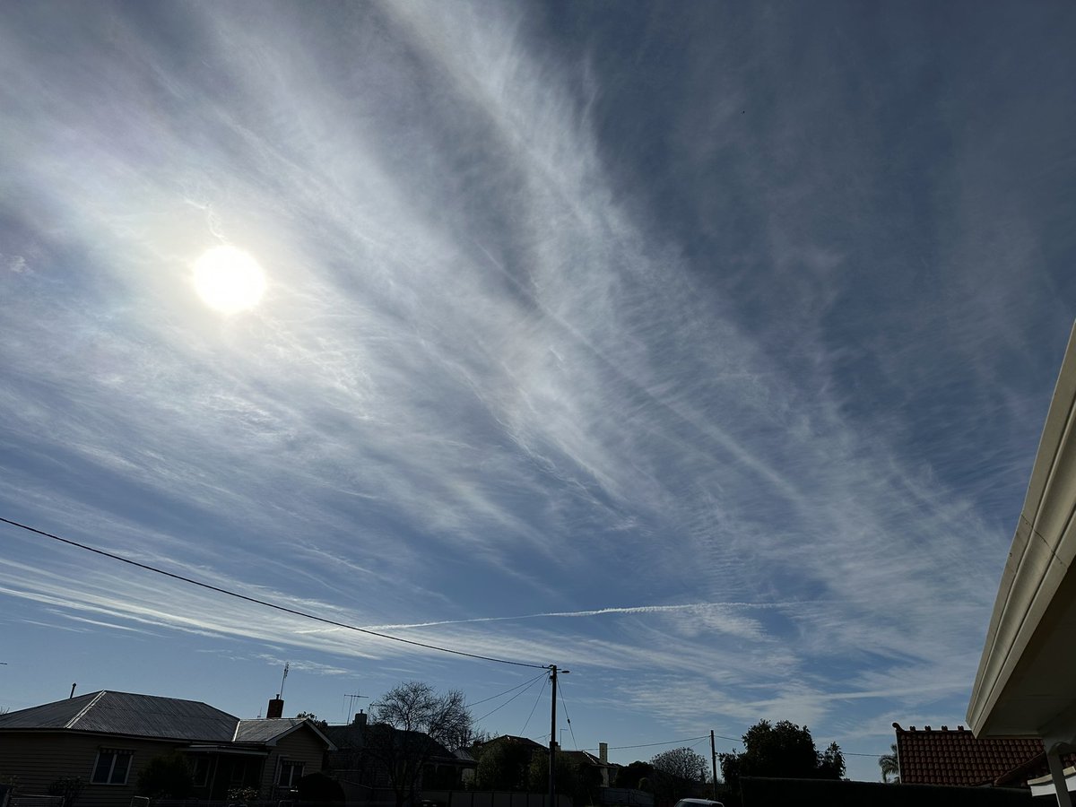 schitzoziris's tweet image. Doesn’t look like Water Vapour Health Minister #MarkButler 🖕