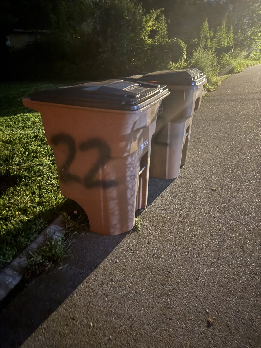 ShermStu_2's tweet image. Today was a very important trash day..
Newborn laid some BOMBS this week to where I double bagged the diaper trash..
But then from left field I found a dead hawk in my driveway this week and had to double bag him too.
Needless to say.. you can smell my cans from a block away..