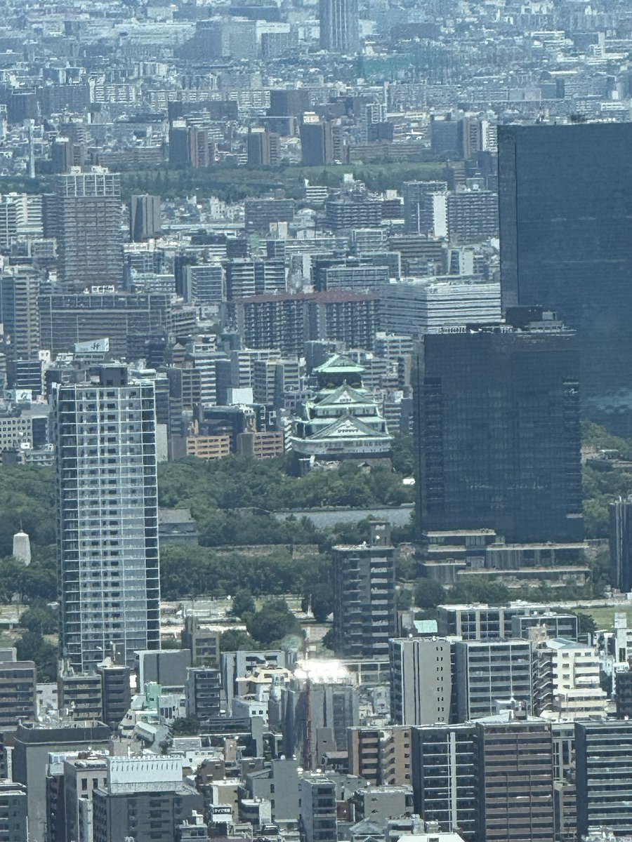 miketa8181's tweet image. 今日は14年目の記念日に！