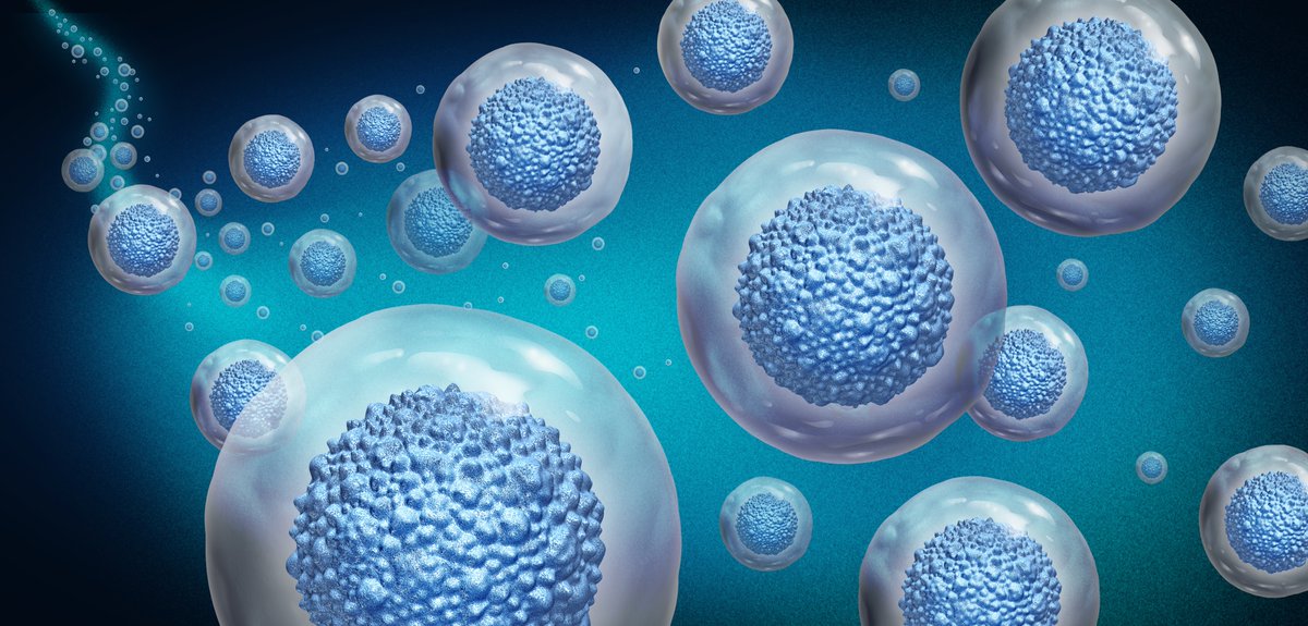 Science_Academy's tweet image. AI holds the promise of revolutionising healthcare by not only repairing or replacing damaged tissues but also improving our understanding of the aging process. For instance, could tissue engineering harness the power of machine learning to help extend human longevity and improve…