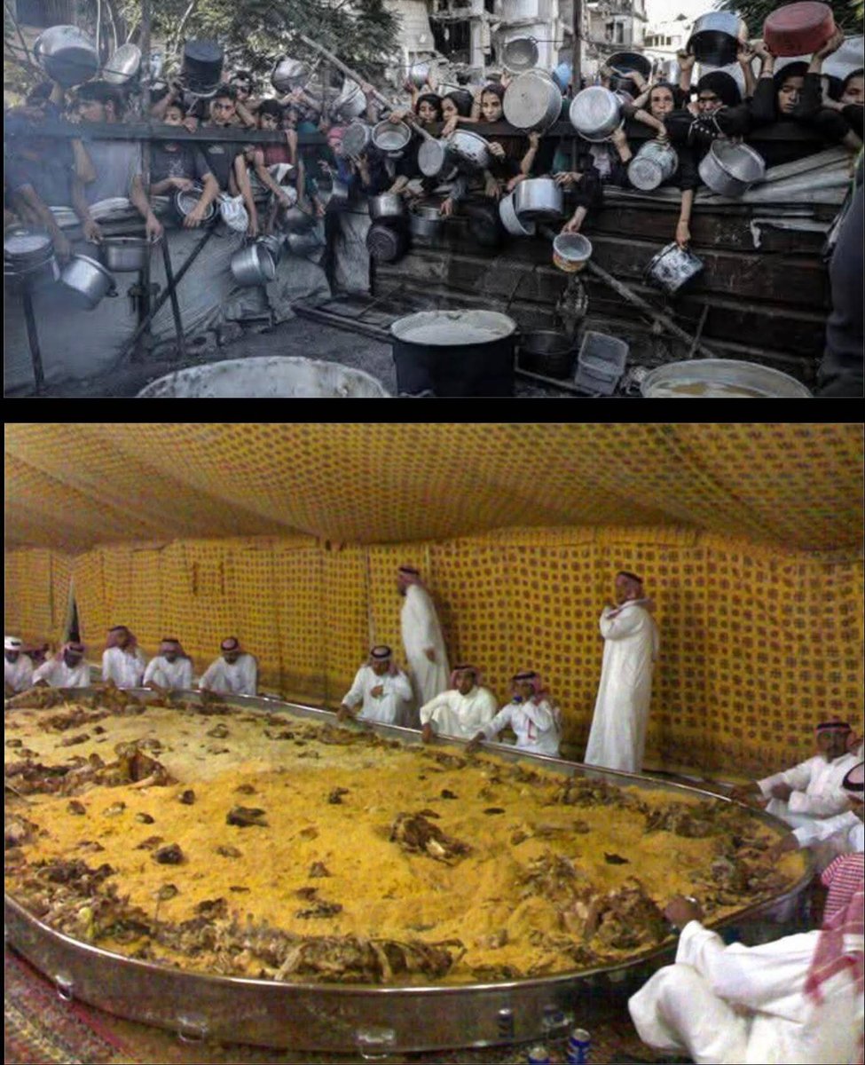 شبعتوا يابعران الخليج...؟!

ياويلكم من عذاب الله