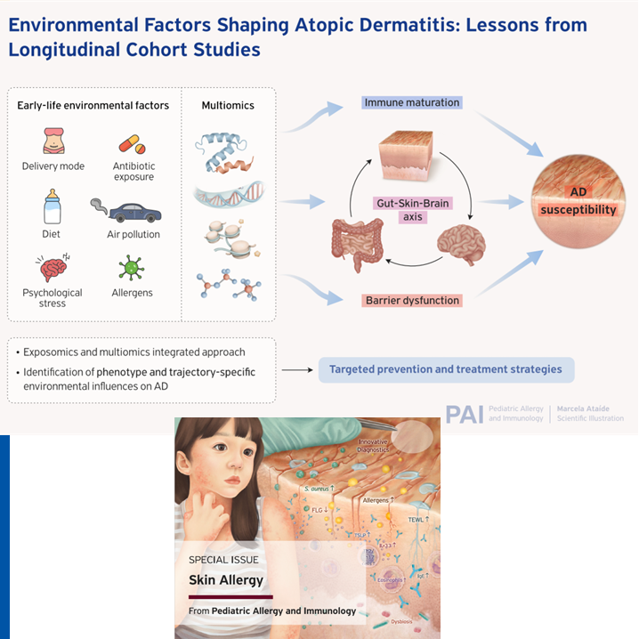Early-life #EnvironmentalExposures act not as isolated determinants but in concert with #genetic, #microbial, and #immunologic factors to shape AD #pathogenesis!
An interesting #review is at the #PAI_Journal 
Here 🔗 doi.org/10.1111/pai.70…
.
#atopicdermatitis #cohortstudy