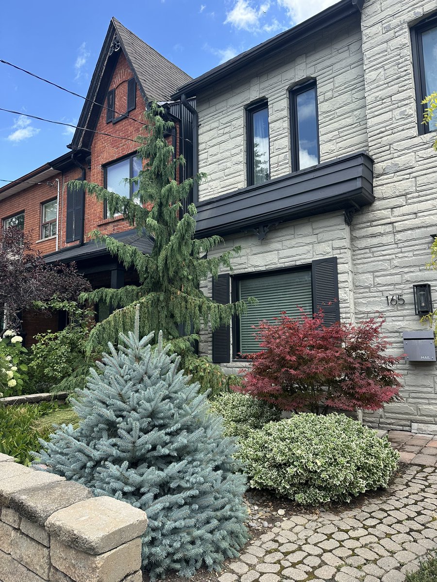 technicalice's tweet image. loved this landscaping