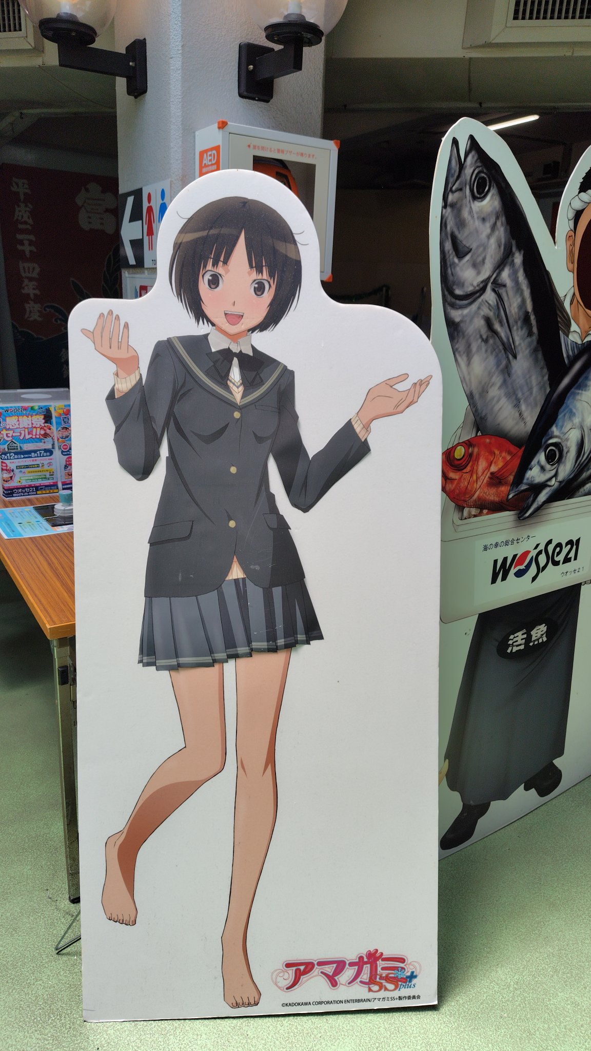 輝日東ファンクラブ ～アマガミSSシリーズ～ (@Kibito_Choshi) / X