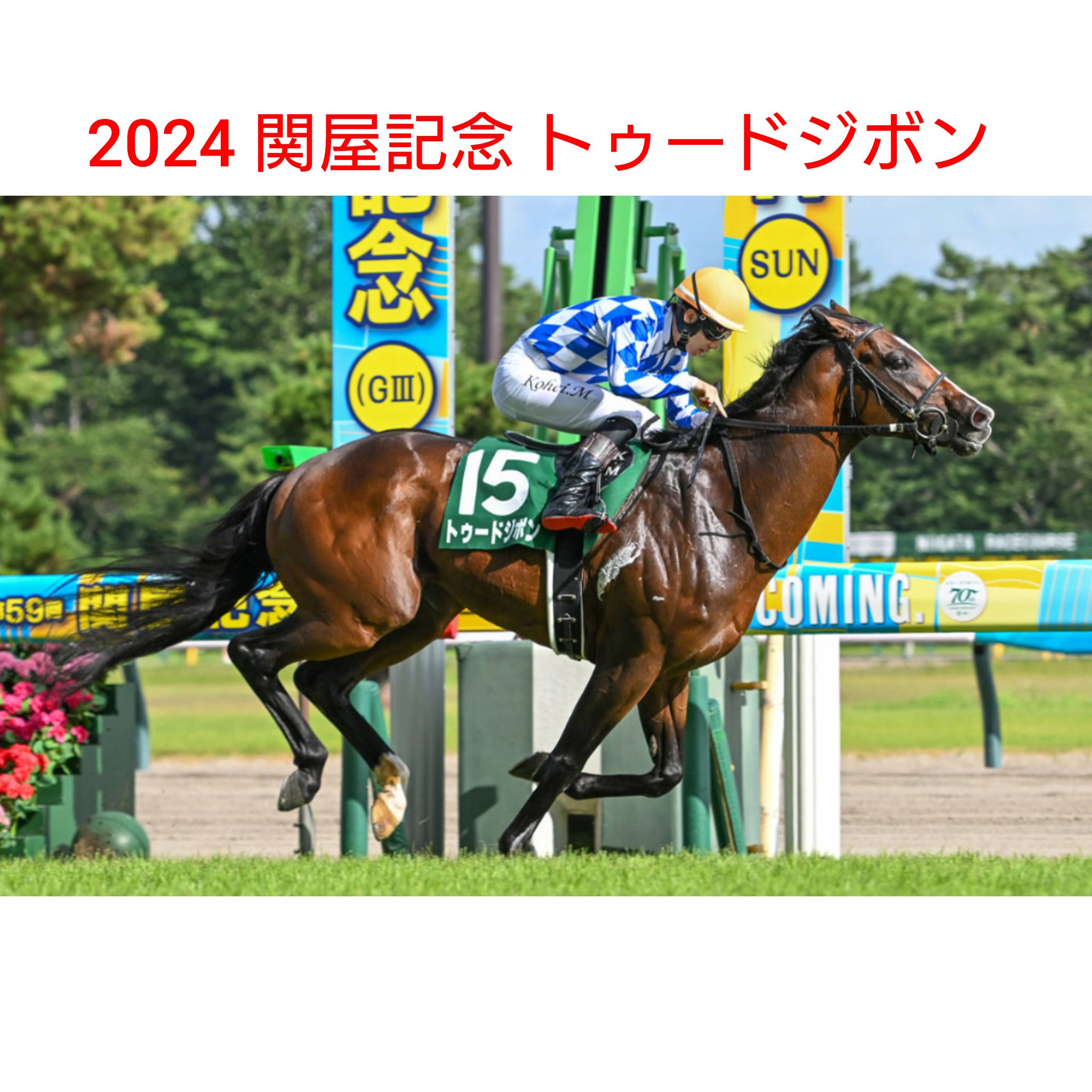 レア　かみのやま競馬マッチ　2つ 108833-01.JPG