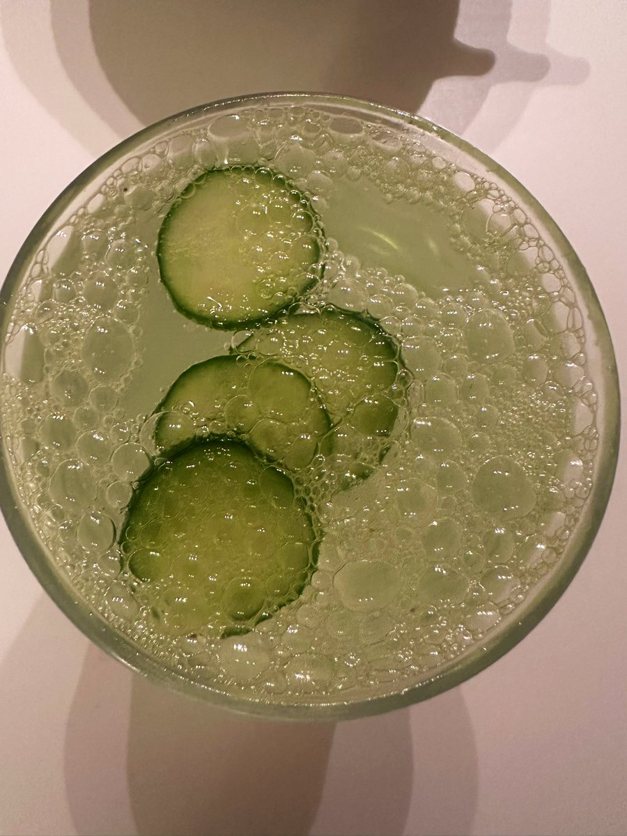 free_style_chef's tweet image. Hot day means a cucumber lemon seltzer is needed to cool down. 

This was so refreshing! 

#hotday #beverage #sparklingwater